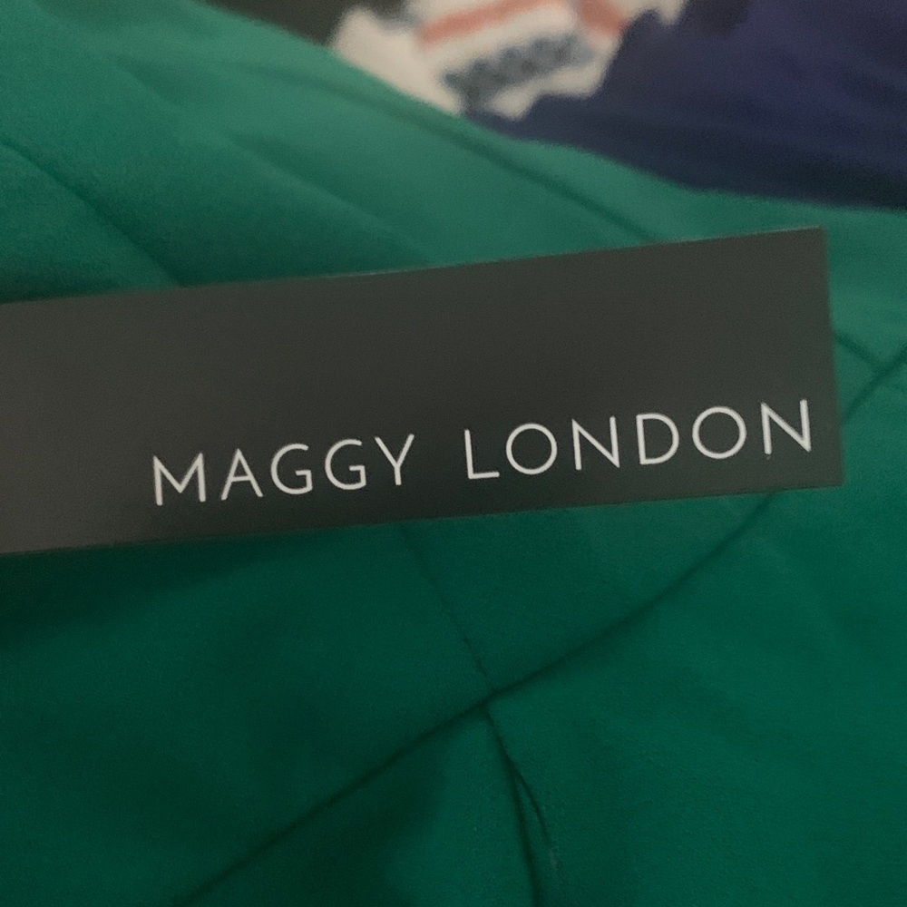 NWT Maggy London Aventurine Dress - Picture 4 of 4